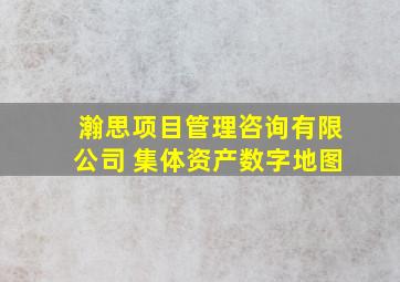 瀚思项目管理咨询有限公司 集体资产数字地图